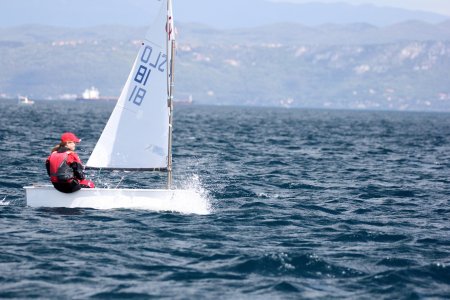 Оптимист швертбот