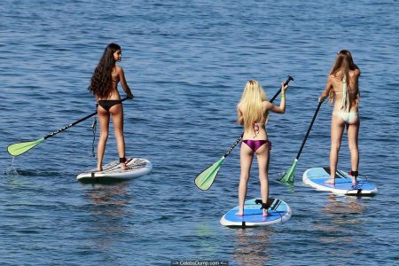 Девушки на сапборде