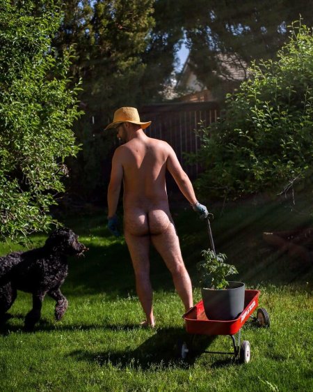 Садовник профессия