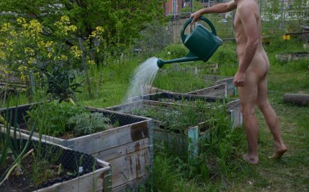 Мужчина на даче