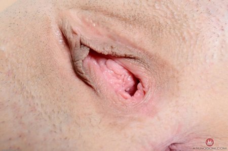 Раскрытые половые губы