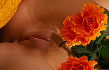 Оранжевая роза