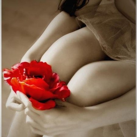 Девушка в розах