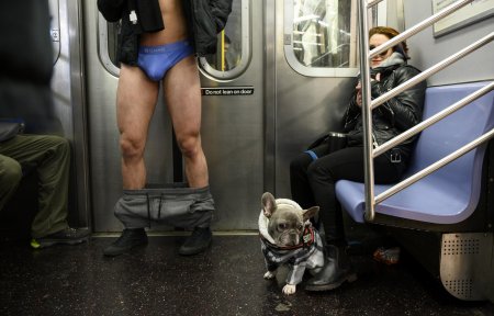 Нью йорк метро без штанов
