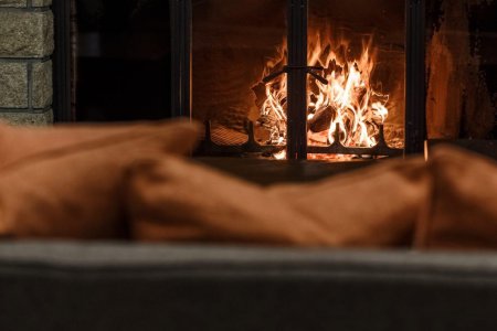 Двое у камина