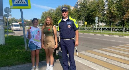 Безопасности дорожного движения