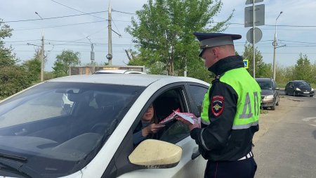 Доб дпс гибдд по ростовской области