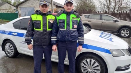 Инспектор дпс