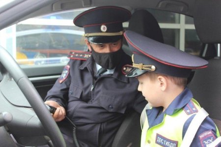 Что такое гибдд