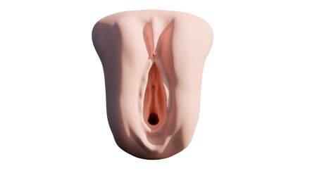 Женская вагина