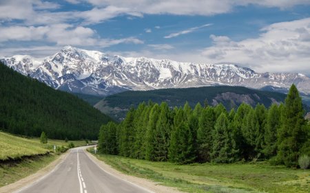 Алтай чуйский тракт