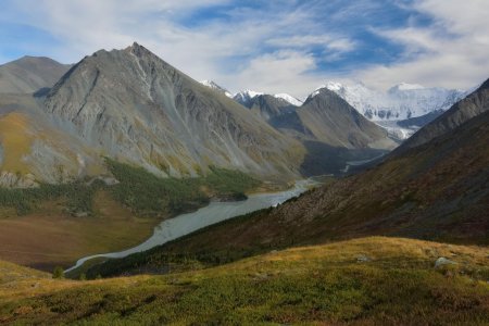 Золотые горы алтая алтайский и катунский заповедники