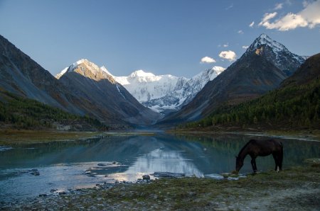 Горный алтай белуха