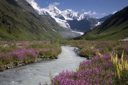 Природа алтая гора белуха