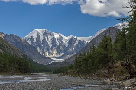 Гора маашей алтай