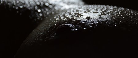 Эротическая макросъемка