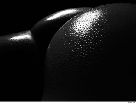 Спортивные женские попки