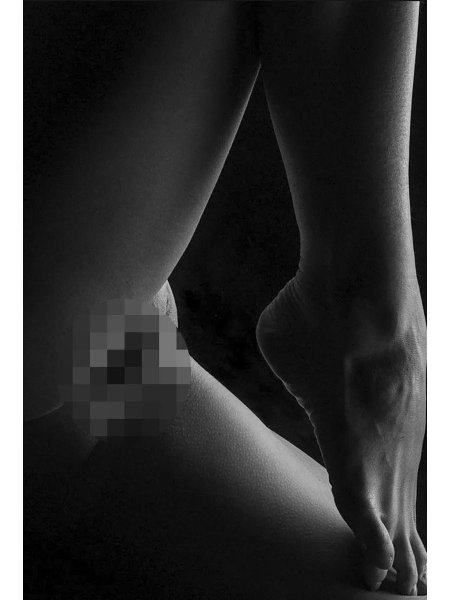 Художественная эротика