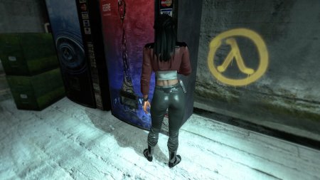 Халф лайф попа алекс