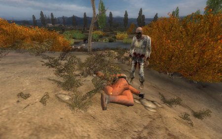 Эротический мод на сталкер