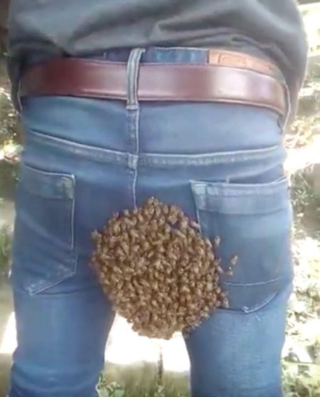 Люди в обосраных штанах