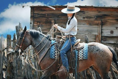 Вестерн ковбой