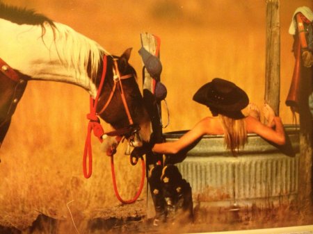 Ковбойская фотосессия с лошадьми