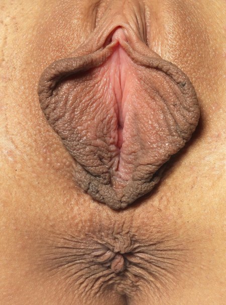 Влагалище эротика