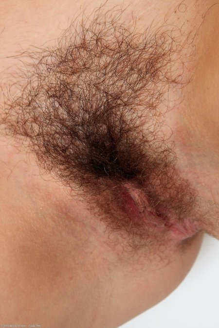 Лобковые волосы женские