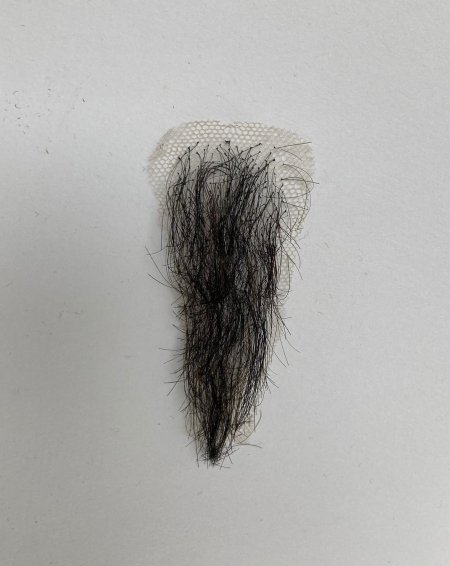 Pubic hair