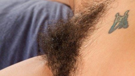 Самые длинные волосы на лобке