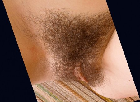 Волосатая лобок