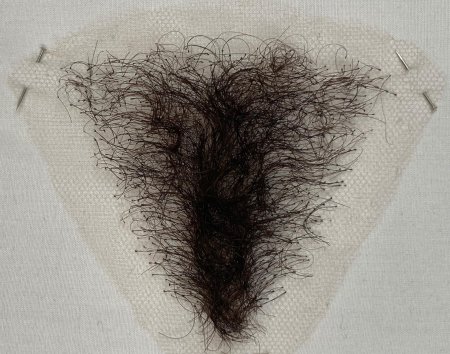 Лобковые волосы