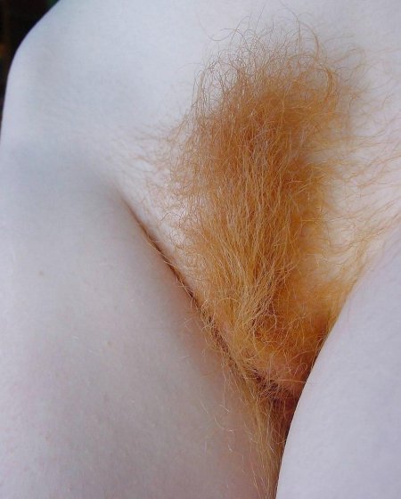 Рыжая волосы