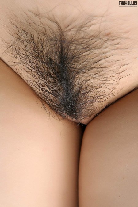 Азиатские девушки с волосами на лобке