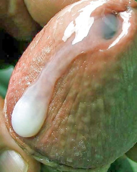 Женская конча крупным планом