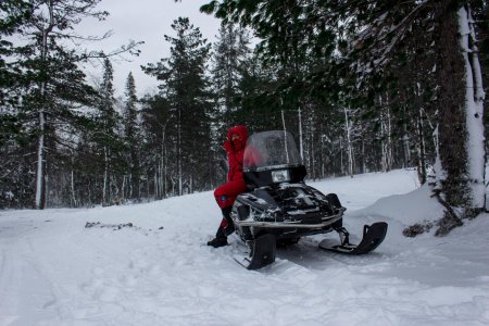 Снегоход в лесу