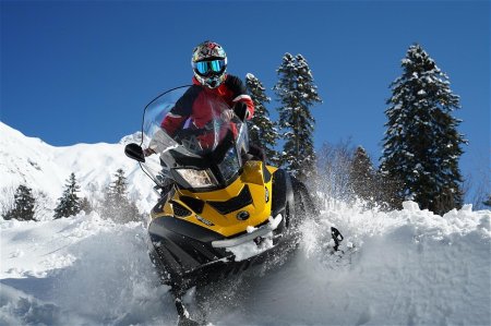 Снегоход brp ski doo