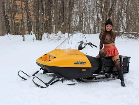Снегоход скидо
