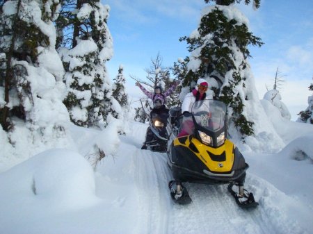 Сафари на снегоходах в карелии