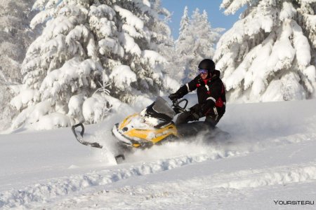 Снегоход brp ski doo