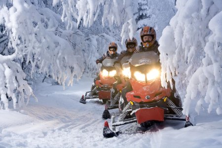 Сафари на снегоходах в карелии