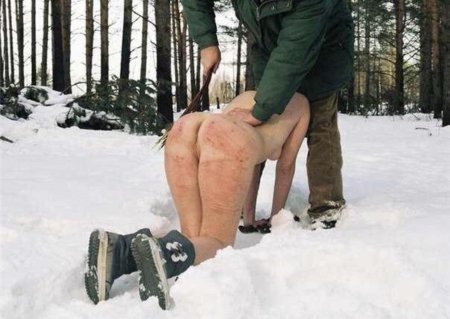 В зимнем лесу