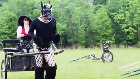 Фестиваль ponyplay