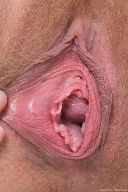 Расположение уретры и вагины