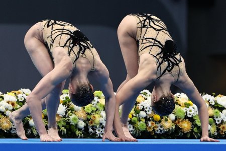 Светлана колесниченко и ромашина