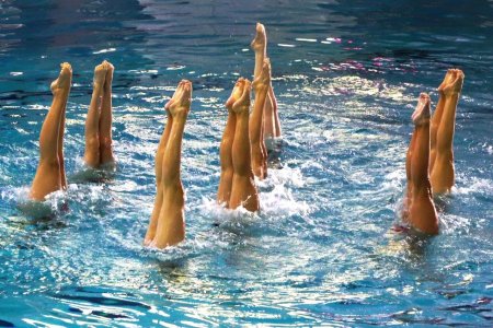 Федерация синхронного плавания россии