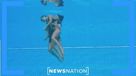 Анита альварес