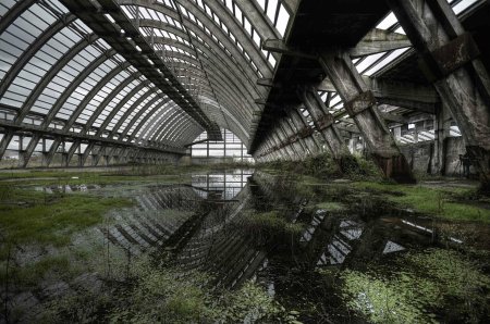 Филевский парк заброшенная оранжерея