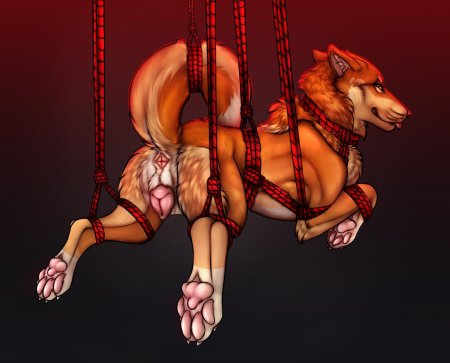 Связанная фурри